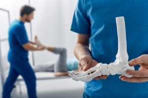 Close up of a medical professional holding a model of a foot